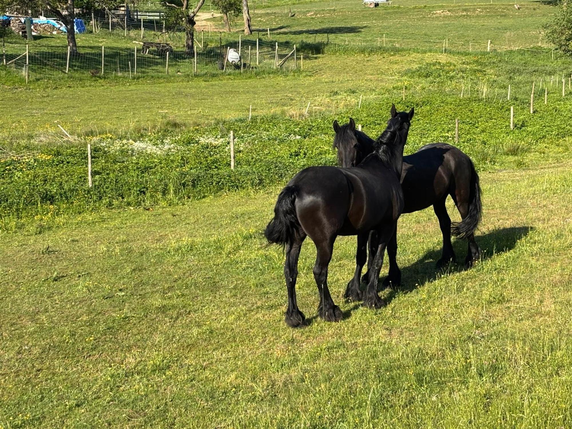 Ferienwohnung Zur Scheune Lind  Zewnętrze zdjęcie